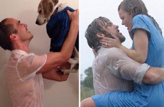 [🆕🇻🇳] Yêu Thú Cưng 🐶🦜 Top1Pets 🐱🐠 Khi các nữ diễn viên chính của phim tình cảm được thay thế bởi 1… Con toá =))))
#Méng
, shares-30✔️ , likes-737❤️️ , date-2016-06-14 00:35:31🐶🐱🇻🇳🇻🇳🇻🇳📰🆕