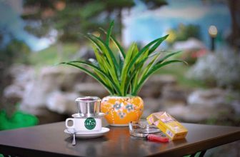 [☕️🇻🇳] Green Coffee Hà Nam 🥤 Top1Coffee ☕️  , shares-0✔️ , likes-15❤️️ , date-2016-12-20 21:26:43🇻🇳🇻🇳🇻🇳📰🆕
