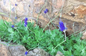 [☕️🇻🇳] LLightroom Coffee 🥤 Top1Coffee ☕️ Ad mới thay bông nè  kakaka. Mỗi ngày một niềm vui “chăm sóc vườn xjnh”
#LightroomCoffeeStudio
, shares-1✔️ , likes-24❤️️ , date-2017-02-17 20:08:56🇻🇳🇻🇳🇻🇳📰🆕