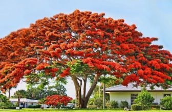 [☕️🇻🇳] Paris Coffee 🥤 Top1Coffee ☕️ Cậu và tớ
TỚ VÀ CẬU
Chưa bao giờ tớ gọi cậu bằng anh
Lại còn cười to khi bạn bè châm chọc
Anh gì chứ, bạn bè xưa cùng học  , shares-0✔️ , likes-0❤️️ , date-2022-04-14 01:19:13🇻🇳🇻🇳🇻🇳📰🆕