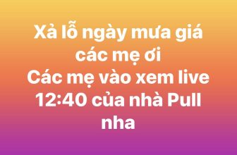 [🆕🇻🇳]  Pullkids – Sỉ lẻ Nous, Chaang, Bu, Ualarogo 🧑‍🧒❤️️👶⭐️  , shares-0✔️ , likes-20❤️️ , date-2024-06-26 05:52:45🇻🇳🇻🇳🇻🇳📰🆕