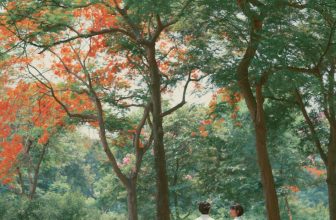 [🆕🇻🇳] MADELEN By LEN – Dành cho những cô nàng thích sự thời thượng đa phong cách 👕 Top1Fashion 👗  Đến rồi mùa hoa phượng nở rợp trời, mùa đong đầy những kỉ niệm về một thời đã xa. Từ những con đường rợp bóng nắng và hoa, từng gốc phượng thân quen cất gi , shares-1✔️ , likes-46❤️️ , date-2024-05-30 05:46:38🇻🇳🇻🇳🇻🇳📰🆕