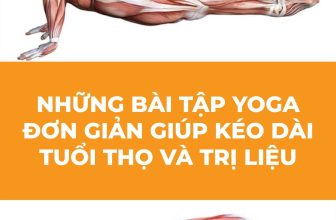 [🆕🇻🇳] Tambooks Yoga  – Học viện Yoga Online Tambooks Việt Nam 🧘 Top1Yoga 🤸🏻‍♀️ Những bài tập Yoga đơn giản giúp kéo dài tuổi thọ và trị liệu
Nếu bị căng cơ, mỏi cơ, đau mỏi lưng, xương khớp hãy tập ngay 12 động tác yoga này.
Kiên tr , shares-4✔️ , likes-10❤️️ , date-2024-06-07 05:01:00🇻🇳🇻🇳🇻🇳📰🆕