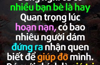 [🆕🇻🇳]  Queen fashion (Hàng fake tàu) – Hàng giá rẻ trung quốc 🧑‍🧒❤️️👶⭐️  , shares-81✔️ , likes-378❤️️ , date-2023-11-29 15:34:10🇻🇳🇻🇳🇻🇳📰🆕