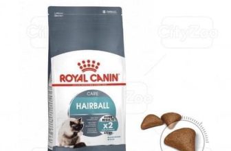 [🆕🇻🇳] FamiPet – Siêu Thị Cho Thú Cưng 🐶🦜 Top1Pets 🐱🐠   ROYAL CANIN HAIRBALL – HỖ TRỢ TIÊU HÓA BÚI LÔNG Ở MÈO
Cuộc sống của những con mèo nhà có thể tránh được những biến đổi  , shares-0✔️ , likes-4❤️️ , date-2024-04-18 23:03:22🐶🐱🇻🇳🇻🇳🇻🇳📰🆕