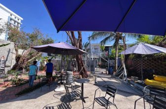 [☕️🇻🇳] MÂY Coffee – Tea  🥤 Top1Coffee ☕️ Mây Trần Phú tạm off khu sân vườn vài hôm để sửa chữa. Tụi mình sẽ trở lại với các bạn ở một diện mạo mới nha   #maygarden
#mayt , shares-0✔️ , likes-35❤️️ , date-2023-12-17 16:42:31🇻🇳🇻🇳🇻🇳📰🆕