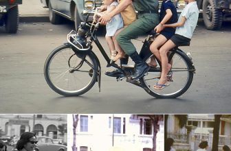 [🆕🇻🇳] Góc Xưa Nét Cũ ♥️️ Top1Life 📚  Ngắm nhìn lại hình ảnh những tà áo dài thướt tha trên chiếc xe Velo Solex lướt nhẹ nhàng trên phố Sài Gòn xưa  _ GXNC ‎
, shares-1✔️ , likes-35❤️️ , date-2024-03-17 18:05:32🇻🇳🇻🇳🇻🇳📰🆕