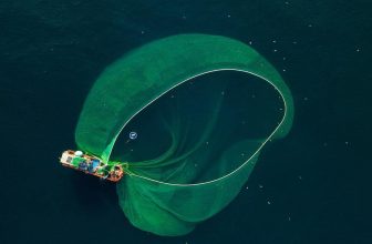 [☕️🇻🇳] Koi Coffee – Koi Cafe – điểm đến của mọi nhà 🥤 Top1Coffee ☕️ Phú Yên vùng đất của nắng và gió,
Từ những điều bình dị bỗng chốc hóa cảnh thơ Cái đẹp trong mắt người si tình…
-st-  #KOI , shares-0✔️ , likes-11❤️️ , date-2021-05-20 00:11:22🇻🇳🇻🇳🇻🇳📰🆕