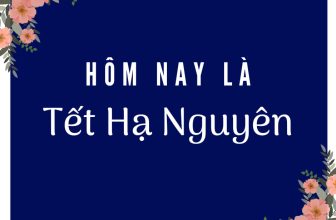 [☕️🇻🇳] EZ Coffee- Cung cấp Cafe rang xay pha máy 🥤 Top1Coffee ☕️ Nguồn gốc, ý nghĩa và giá trị tâm linh của ngày Tết Hạ Nguyên 15/10 âm lịch.Tết Hạ Nguyên 15/10 âm lịch hay còn gọi là rằm thá , shares-1✔️ , likes-4❤️️ , date-2021-11-18 10:06:19🇻🇳🇻🇳🇻🇳📰🆕