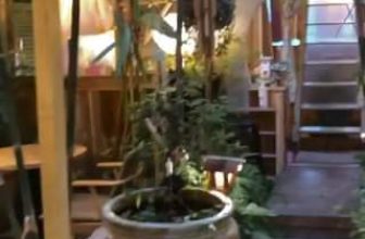 [☕️🇻🇳] 15.22 café – wine – live music 🥤 Top1Coffee ☕️ 𝐆𝐡𝐞́ 𝐇𝐨𝐚 𝐘𝐞̂𝐧,
𝐊𝐡𝐢 𝐭𝐡𝐚̀𝐧𝐡 𝐩𝐡𝐨̂́ 𝐜𝐡𝐮𝐲𝐞̂̉𝐧 đ𝐞̀𝐧 𝐯𝐚̀𝐧𝐠
_______________
𝘏𝘰𝘢 𝘤𝘶̉𝘢 𝘢𝘯 𝘺𝘦̂𝘯
________________
Quán nước Hoa Yên
Số: , shares-0✔️ , likes-90❤️️ , date-2021-11-14 12:41:15🇻🇳🇻🇳🇻🇳📰🆕