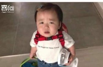 [🆕🇻🇳] 3M Kids – Thời trang cho bé yêu  😎❤️️⭐️ Đây chính xác là boss nhà em các mẹ ạ
Nguồn: sưu tầm
, shares-0✔️ , likes-3❤️️ , date-2021-11-26 13:51:22🇻🇳🇻🇳🇻🇳📰🆕