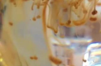 [☕️🇻🇳] Kafeville – Espresso and hand craft coffee bar 🥤 Top1Coffee ☕️ Omicron
, shares-0✔️ , likes-16❤️️ , date-2021-12-04 19:05:10🇻🇳🇻🇳🇻🇳📰🆕