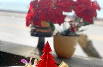 [☕️🇻🇳] Seaside Cafe 🥤 Top1Coffee ☕️ NOEL GÕ CỬA NHÀ SEASIDE
Tiết trời mát mẻ, se se như này thì đâu là điểm hẹn đáng nhớ của bạn trong đêm Giáng sinh này?
“Hâm n , shares-0✔️ , likes-10❤️️ , date-2021-12-23 21:49:12🇻🇳🇻🇳🇻🇳📰🆕