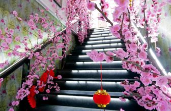 [☕️🇻🇳] Seaside Cafe 🥤 Top1Coffee ☕️ #SEASIDE “thay áo” vườn đào đón Xuân
Xúng xính diện tà áo dài chụp ảnh cùng cành đào ngày Xuân là đỉnh của chóp luôn. Một nét đ , shares-0✔️ , likes-3❤️️ , date-2022-01-23 22:00:55🇻🇳🇻🇳🇻🇳📰🆕