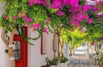 [☕️🇻🇳] Paris Coffee 🥤 Top1Coffee ☕️ Ngẫm
Sức Mạnh Của Tiền Mặt Khi Về Già
T/g: Nguyễn Thế Hưng
Trong cuộc đời của mỗi con người, chúng ta thường quên hoặc lờ đi k , shares-0✔️ , likes-0❤️️ , date-2022-03-22 19:35:55🇻🇳🇻🇳🇻🇳📰🆕