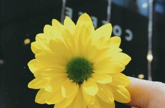 [☕️🇻🇳] Dear November Coffee 🥤 Top1Coffee ☕️ Ngày 8/3 Dear xin chúc một nửa thế giới thật nhiều niềm vui, thật nhiều tình yêu   Love,———————————————
Dear November Coffe , shares-0✔️ , likes-6❤️️ , date-2022-03-07 14:53:21🇻🇳🇻🇳🇻🇳📰🆕