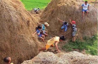 [☕️🇻🇳] Paris Coffee 🥤 Top1Coffee ☕️ CHA
CHA !
Chưa một lần cầm bút viết về CHA
Bởi trong con CHA vô cùng mạnh mẽ
CHA vững vàng nên chẳng cần san sẻ
Nên vô tình. , shares-0✔️ , likes-0❤️️ , date-2022-04-09 17:50:24🇻🇳🇻🇳🇻🇳📰🆕