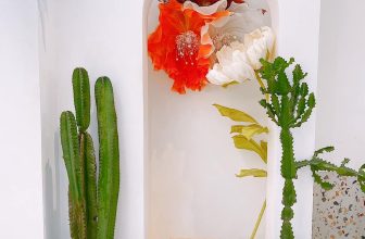 [☕️🇻🇳] MINGO coffee 🥤 Top1Coffee ☕️ Hôm qua Sài Gòn lại mưa, hôm nay đã tạnh ráo trước khoảng sân nhà Mingo.Mingo ngoài nước uống đậm vị thì không gian luôn chỉn , shares-1✔️ , likes-9❤️️ , date-2022-05-09 16:58:45🇻🇳🇻🇳🇻🇳📰🆕