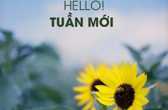 [☕️🇻🇳] Lion Coffee Nam Định 🥤 Top1Coffee ☕️ Đừng buồn vì những chuyện đã qua, đừng nản vì những chuyện không như mong đợi. Hãy tự tin, cố gắng vượt qua mọi khó khăn, thành  , shares-1✔️ , likes-3❤️️ , date-2022-05-15 12:08:01🇻🇳🇻🇳🇻🇳📰🆕