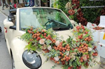 [🆕🇻🇳] Wecheckin.vn – Travel Blog – Chuyên trang chia sẻ kinh nghiệm du lịch và review homestay ♥️️ Top1Checkin ☑  Tự dưng con bạn nó lại thích được làm cô dâu mùa vải
Hỏi ra mới biết nó bồ kết xe dâu này ;)))
Kiểu này chắc sắp có xe dâu chuối, đào, mơ mận, thanh long , shares-1✔️ , likes-8❤️️ , date-2022-06-02 17:44:44🇻🇳🇻🇳🇻🇳📰🆕