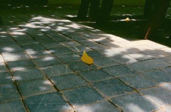 [☕️🇻🇳]  De.TẦM Cafe – Coffee – Bistro 🥤 Top1Coffee ☕️ Giờ này mà ngồi sân thì nóng lắm nhỉ, nhưng để chụp vài tấm ảnh xoay mình cùng gió nhẹ và hiu hiu nắng trong sân của de.Tầm vẫn  , shares-0✔️ , likes-10❤️️ , date-2022-06-24 19:22:40🇻🇳🇻🇳🇻🇳📰🆕