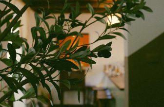 [☕️🇻🇳]  De.TẦM Cafe – Coffee – Bistro 🥤 Top1Coffee ☕️ Hà Nội đỉnh điểm của cái hè nóng nực, đã mấy ai tìm được chỗ mát mẻ cho riêng mình?De.Tầm vào hè như tiệm giải khát với các th , shares-1✔️ , likes-14❤️️ , date-2022-06-19 19:13:36🇻🇳🇻🇳🇻🇳📰🆕