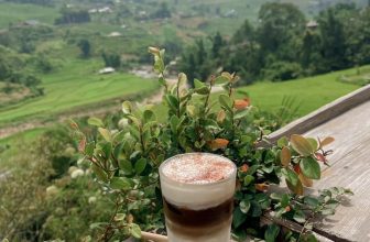 [☕️🇻🇳] La Dao Spa – Coffee House, homestay 🥤 Top1Coffee ☕️ Một tách cà phê và sự vô lo, vô nghĩ hỏi rằng “Đây có phải bình yên không?”
– Phải, bình yên nằm trong tâm trí mỗi người, vì v , shares-0✔️ , likes-46❤️️ , date-2022-07-28 01:35:07🇻🇳🇻🇳🇻🇳📰🆕