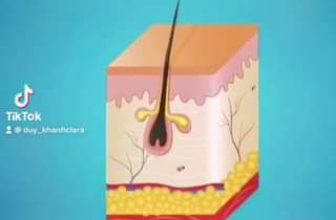 [🆕🇻🇳] Mập Style – Váy Đầm Bigsize dành cho người mập dự tiệc, đi chơi 👕 Top1Fashion 👗   , shares-0✔️ , likes-2❤️️ , date-2021-10-11 16:17:03🇻🇳🇻🇳🇻🇳📰🆕