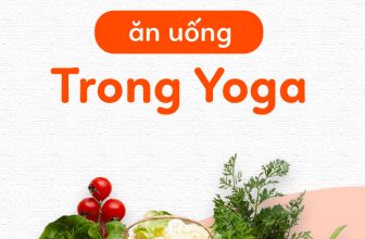 [🆕🇻🇳] Aerial Yoga Vietnam 🧘 Top1Yoga 🧘 NGUYÊN TẮC ĂN UỐNG TRONG YOGATheo yoga, thái độ và tâm lý trong cách chuẩn bị thực phẩm của con người có vai trò quan trọng. Một người tập luyện yoga chu , shares-0✔️ , likes-0❤️️ , date-2022-08-20 03:00:07🇻🇳🇻🇳🇻🇳📰🆕