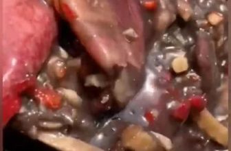 [🆕🇻🇳] MẮM HUẾ 🍔 Top1Food 🍜 Mắm Mực siêu phẩm đặc sản nhà em.Mắm mực được làm từ mực tươi đã nêm gia vị đầy đủ vị mặn vừa ăn, con mực dai dai, mềm mềm, giòn giòn ngon lắm mọi người ạ. , shares-59✔️ , likes-22K❤️️ , date-2022-11-18 10:37:04🇻🇳🇻🇳🇻🇳📰🆕