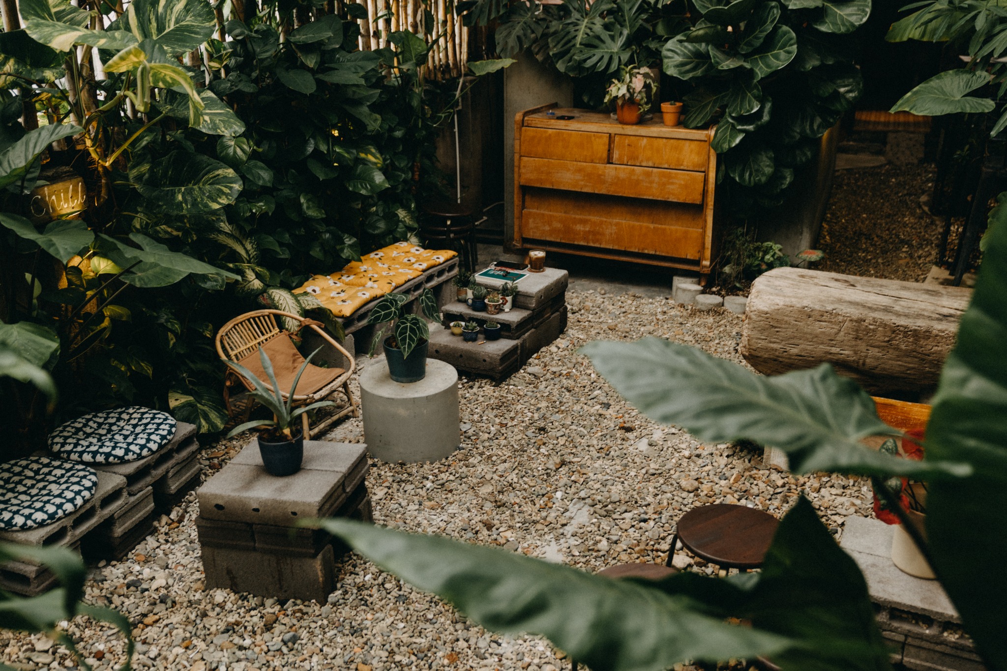 [☕️🇻🇳] BỤI Coffee Chill – Plants 🥤 Top1Coffee ☕️  , shares-0✔️ , likes-12❤️️ , date-2022-10-10 17:20:05🇻🇳🇻🇳🇻🇳📰🆕