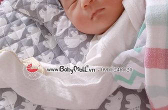 [🆕🇻🇳] Babymall – Đồ dùng cao cấp dành cho mẹ và bé 🧑‍🧒❤️️👶⭐️ 𝐃-𝐬𝐡𝐚𝐩𝐞𝐝 𝐍𝐮𝐫𝐬𝐢𝐧𝐠 𝐂𝐮𝐬𝐡𝐢𝐨𝐧 – 𝑯𝒂̀𝒏𝒈 𝒏𝒐̣̂𝒊 đ𝒊̣𝒂 𝑲𝒐𝒓𝒆𝒂 – 한국산
Chị em nào bế con bú mẹ trực tiếp nhiều sẽ hiểu , ước lắm có một chiếc đệm ntn đeo vào khoẻ m , shares-1✔️ , likes-5❤️️ , date-2022-11-12 15:18:26🇻🇳🇻🇳🇻🇳📰🆕