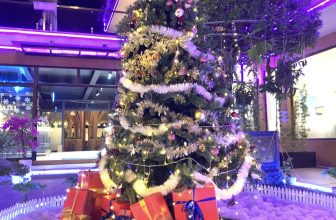 [☕️🇻🇳] Newland Coffee 🥤 Top1Coffee ☕️ Xuân kiếm lì xì, Hạ kiếm kem, Thu kiếm hoa sữa, Đông kiếm caption thả thính Noel!
Noel sắp đến rồi các anh chị em ơii
Hãy đến Ne , shares-0✔️ , likes-32❤️️ , date-2022-11-24 20:24:54🇻🇳🇻🇳🇻🇳📰🆕