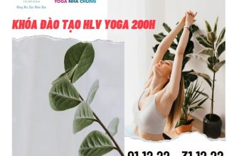 [🆕🇻🇳] YOGA NHÀ CHUNG – Giải pháp chăm sóc sức khỏe chủ động 🧘 Top1Yoga 🧘 Một hành trình tìm lấy 1 phiên bản mới của chính mình sau 30 ngày   Khóa HLV Yoga 200H
Chương trình đào tạo trong vòng 30 ngày nhưng cam kết hỗ trợ chuyên , shares-0✔️ , likes-3❤️️ , date-2022-11-23 15:23:49🇻🇳🇻🇳🇻🇳📰🆕