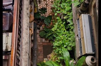 [☕️🇻🇳] NAM house 🥤 Top1Coffee ☕️ nhà mình
có 1 ô cửa – nằm ngang
nhìn ra 1 mảnh vườn tươi ngát …
__________
NAM house
15/1 le hong phong, da nang  Nam cảm , shares-0✔️ , likes-27❤️️ , date-2022-12-02 16:37:24🇻🇳🇻🇳🇻🇳📰🆕