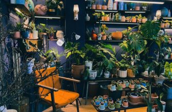 [☕️🇻🇳] BỤI Coffee Chill – Plants 🥤 Top1Coffee ☕️ Mình đang tuyển cho các outlet:
Tê Bê Chilling Cocktail House
– Phục vụ nữ: 2 lương + Hoa Hồng
– Bartender 2 Không cần kinh ngh , shares-0✔️ , likes-2❤️️ , date-2022-12-18 17:57:56🇻🇳🇻🇳🇻🇳📰🆕