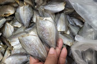 [🆕🇻🇳] Đặc sản châu đốc NGỌC TRÂN 🍔 Top1Food 🍜 Khô cá SẶC BƯỚM ngon
Lâu ghê mới có 1 lô cá sặc ngon khô này mà mang đi CHIÊN GIÒN là ngon xuất sắc.
Khô được làm thủ công, phơi dưới nắng tốt.
, shares-0✔️ , likes-58❤️️ , date-2023-01-26 14:49:52🇻🇳🇻🇳🇻🇳📰🆕