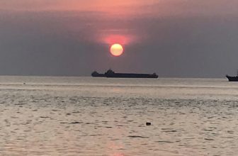 [☕️🇻🇳] Love Beach Coffee and Milktea- Cafe biển 🥤 Top1Coffee ☕️ Một ngày bình thường tại lovebeach
, shares-0✔️ , likes-15❤️️ , date-2023-01-15 11:26:43🇻🇳🇻🇳🇻🇳📰🆕