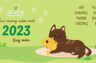 [🆕🇻🇳] Lullaby luôn hiểu rõ nhu cầu 😎❤️️⭐️  , shares-0✔️ , likes-0❤️️ , date-2023-01-25 13:10:30🇻🇳🇻🇳🇻🇳📰🆕