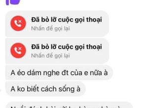 [🆕🇻🇳] Sumo Store – Cửa hàng quần áo nữ 👕 Top1Fashion 👗  Đã lên sòng,
Thì ko chú cháu j hết
, shares-0✔️ , likes-61❤️️ , date-2023-01-24 19:35:51🇻🇳🇻🇳🇻🇳📰🆕