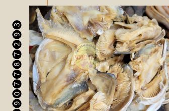 [🆕🇻🇳] Đặc sản châu đốc NGỌC TRÂN 🍔 Top1Food 🍜 MUA LẺ VỚI GIÁ SỈ TẬN GỐC Ở NGỌC TRÂN
Các món khô mắm của Ngọc Trân với chất lượng được khẳng định với các con khô đặc sản từ Châu Đốc – An Giang, Cà Mau v , shares-2✔️ , likes-43❤️️ , date-2023-03-04 05:25:27🇻🇳🇻🇳🇻🇳📰🆕