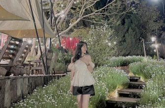 [☕️🇻🇳] Ngày của Nắng Coffee+ 🥤 Top1Coffee ☕️ Đến Ngày của Nắng để tự tin khoe cá tính của mình nè bạn ơiiiiNgày của Nắng là một chốn nhỏ bình yên xinh đẹp để bạn thoả sức  , shares-0✔️ , likes-17❤️️ , date-2023-01-29 23:01:34🇻🇳🇻🇳🇻🇳📰🆕