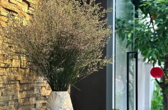 [☕️🇻🇳] La Farine 🥤 Top1Coffee ☕️ [𝟏𝟒/𝟐] “𝐋𝐨𝐯𝐞 𝐢𝐬 𝐢𝐧 𝐭𝐡𝐞 𝐚𝐢𝐫”Mai 14/2 rồi, mọi người ghé thưởng thức chút trà, bánh ngọt ngào từ nhà Bột nhé. Biết sẽ không ngọ , shares-0✔️ , likes-25❤️️ , date-2023-02-13 02:25:53🇻🇳🇻🇳🇻🇳📰🆕