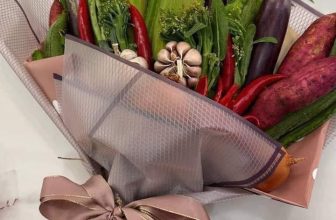 [🆕🇻🇳]  Bống Xinh Shop – Thời trang bé yêu – Chuyên Sỉ – Lẻ Thời trang trẻ em cao cấp 🧑‍🧒❤️️👶⭐️  Quà đây chứ đâu nữa các ce ơi
, shares-0✔️ , likes-4❤️️ , date-2023-02-14 01:41:31🇻🇳🇻🇳🇻🇳📰🆕