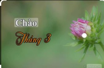 [🆕🇻🇳] Vua Gà Nướng – Thương Hiệu Gà Ngon 🍔 Top1Food 🍜 Tháng Ba về mang theo những cảm xúc mới của  mùa xuân rực rỡ.Đặc biệt là tháng Tôn Vinh 1 nửa Thế giới .
Vua gà nướng kính chúc quý khách hàng 1 tháng mới  , shares-0✔️ , likes-7❤️️ , date-2023-02-28 13:54:32🇻🇳🇻🇳🇻🇳📰🆕