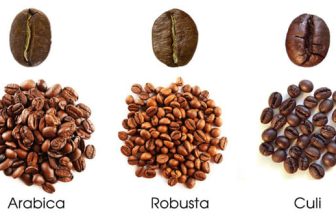 [☕️🇻🇳] EVC Coffee 🥤 Top1Coffee ☕️ Hạt cà phê CuliPeaberry – Hạt CuliMột quả cà phê thường có hai nhân, nhưng trong một số trường hợp quả chỉ có một hạt duy nh , shares-0✔️ , likes-15❤️️ , date-2023-04-18 12:43:19🇻🇳🇻🇳🇻🇳📰🆕