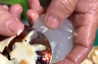 [🆕🇻🇳] Hương Vị An Giang – Đặc Sản An Giang 🍔 Top1Food 🍜 Thốt Nốt Vùng Đất An Giang Việt Nam
, shares-3✔️ , likes-378❤️️ , date-2023-04-21 07:39:08🇻🇳🇻🇳🇻🇳📰🆕