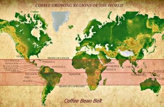 [☕️🇻🇳] EVC Coffee 🥤 Top1Coffee ☕️ Coffee bean belt là gì?
Coffee bean belt là thuật ngữ dùng chung chỉ một tập hợp các khu vực gieo trồng cà phê với môi trường và , shares-0✔️ , likes-14❤️️ , date-2023-05-09 22:41:08🇻🇳🇻🇳🇻🇳📰🆕
