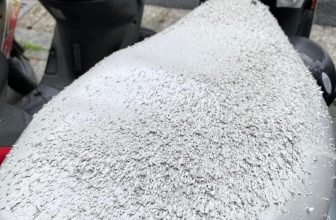 [🆕🇻🇳] Thú Cưng 🐶🦜 Top1Pets 🐱🐠 Người có sẽ hiểu
, shares-1✔️ , likes-51❤️️ , date-2023-06-16 14:20:36🐶🐱🇻🇳🇻🇳🇻🇳📰🆕