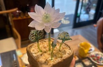 [🆕🇻🇳] 𝐘𝐎𝐆𝐀 𝐓𝐑ị 𝐋𝐈ệ𝐔 𝐓𝐇𝐀𝐍𝐇 𝐇𝐔𝐘ề𝐍 🧘 Top1Yoga 🤸🏻‍♀️ Nếu Sếp sắm cho em một chậu, em hứa sẽ bật Sếp ít hơn á   #vanphongonline #danvanphong #decor #cute #giảmstress #emyeucongty #Congtylanha
, shares-0✔️ , likes-1❤️️ , date-2023-06-28 23:08:56🇻🇳🇻🇳🇻🇳📰🆕